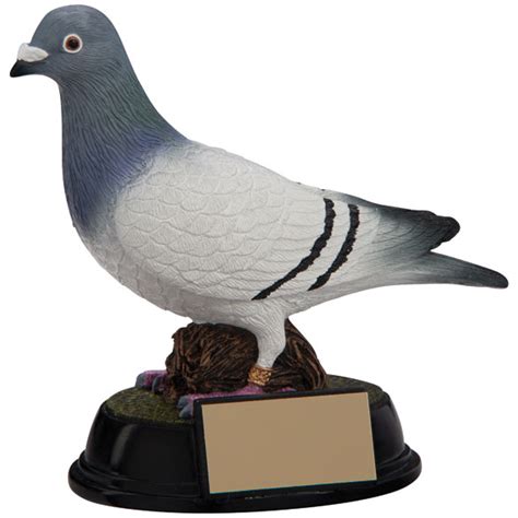 Elite Beautiful Coloured Pigeon Racing Trophy Award Or T