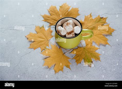 Cozy Autumn Hot Drink With Marshmallow And Yellow Maple Leaves A Cup Of Marshmallow Hot