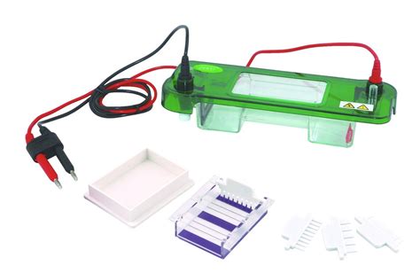 C Lula Horizontal De La Electroforesis Del Aparato De La Electroforesis
