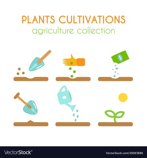 Plant Cultivation Sowing And Planting Royalty Free Vector