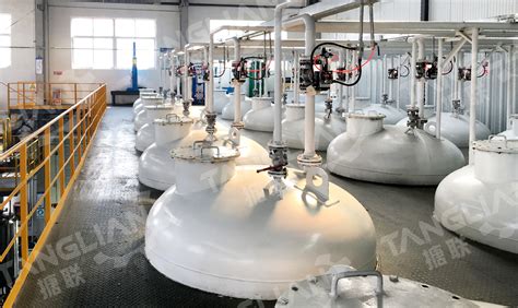 Glass Lined Reactor Manufacturer Made In China Tanglian Chemistry