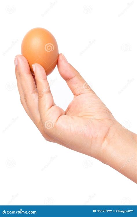 Hand Holding A Brown Egg Stock Photo Image Of Women 35575122