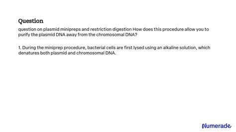 Solved How Does This Procedure Allow You To Purify The Plasmid Dna