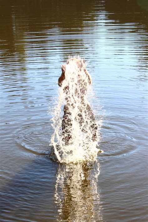 Private Photos IMG Porn Pic