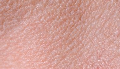 skin facts  kids