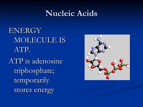 Ppt Cell Structure Function And Macromolecules Powerpoint