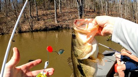 First Trip In Dads New Boatdo Prespawn Bass See Red Big Fish