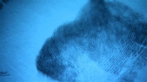 Fingerprint Evidence In Court Panorama