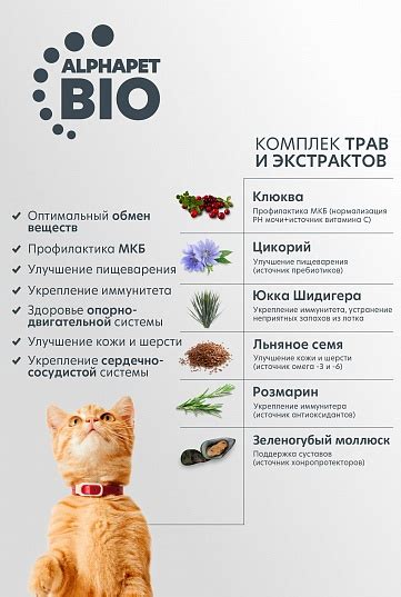 Корм AlphaPet WOW с индейкой и потрошками для взрослых стерилизованных ...