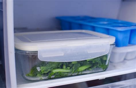 How To Store Collard Greens In The Fridge Storables