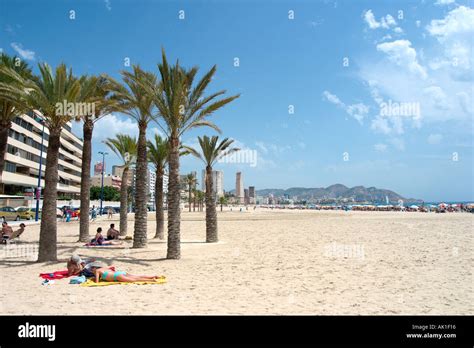 Playa De Poniente Benidorm Costa Blanca Spain Stock Photo Alamy