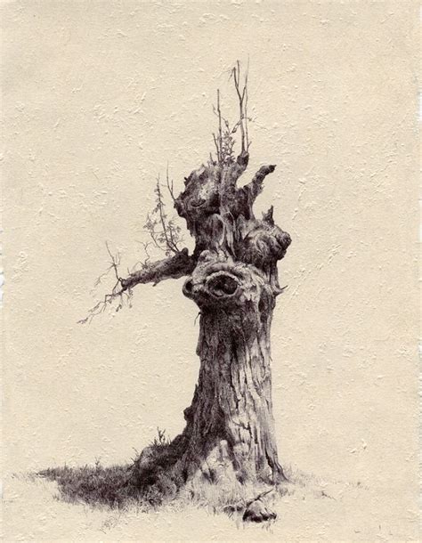 Pin By Christopher Levinson On Trees Bushes Tree Drawings Pencil