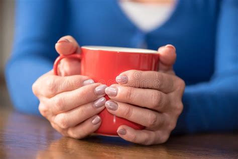 Woman S Hands Holding A Mug Of Hot Beverage Stock Image Image Of