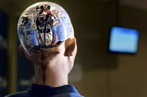 Sex Robots That Breathe Using Ai Chest Cavity Set For Release Daily Star