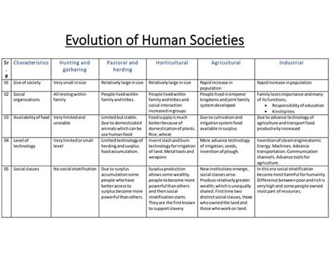 evolution  human societies docx