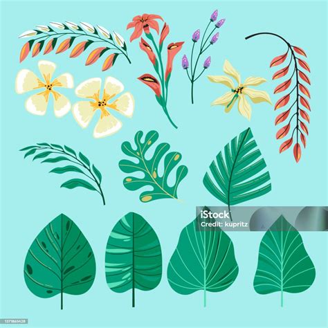 Koleksi Tropis Dengan Bunga Dan Daun Eksotis Ilustrasi Stok Unduh