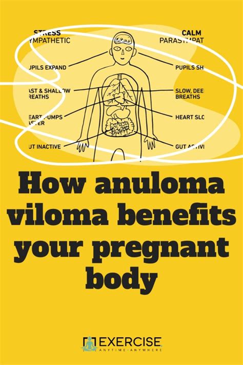 How anuloma viloma benefits your pregnant body