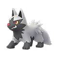 Poochyena (Pokémon GO) - Best Movesets, Counters, Evolutions and CP