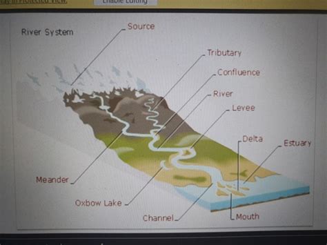 Deposition Of Fluvial Environment Flashcards Quizlet