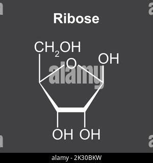 Chemical Structure of Ribose Sugar Molecule. Vector Illustration Stock ...