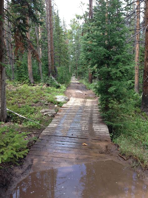 Check Out This Beautiful Trail On The North Slope Of The Uinta