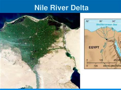 freshwater biomes powerpoint    id