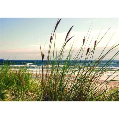 Papier Peint Intiss Plage Et Mer X Cm Nature Panoramique Chambre