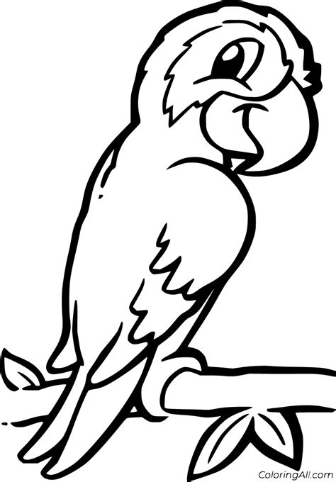 Scarlet Macaws Coloring Wings Open Coloring Pages