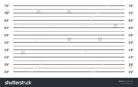 Mugshot Background Police Lineup Illustration Identification Stock