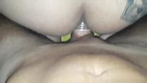 Trans Pasiva Videos XVIDEOS