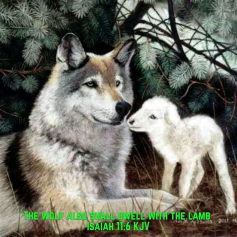 A Wolf And Her Baby Are Sitting In The Grass By Some Pine Trees