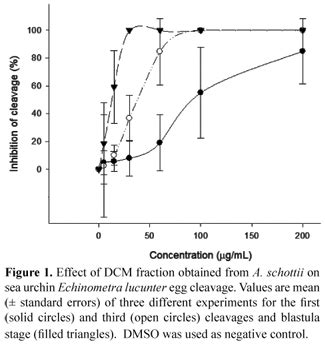 Scielo Brasil Anti Mitotic Activity Towards Sea Urchin Eggs Of