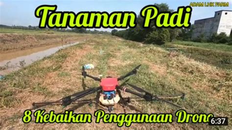 Kelebihan Penggunaan Drone Dalam Proses Penanaman Padi Teknologi