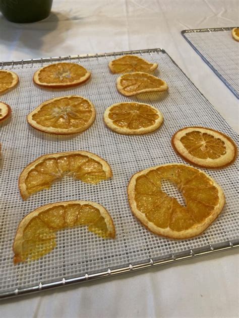 dehydrated oranges