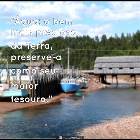 Dia Mundial Da água Frases