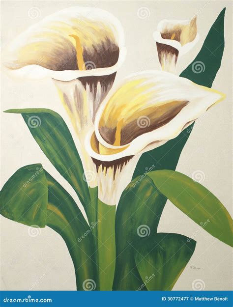 Calla Lilies Painting stock illustration. Illustration of blossom ...