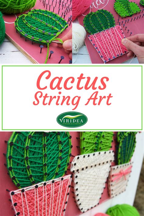Cactus garden – Artofit