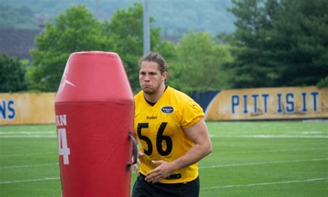 Steelers Lb Anthony Chickillo Arrested Charged With Assault