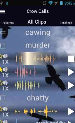 Crow Calls - Android App - AllBestApps