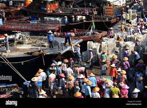 Sanya China S Hainan Province Th May Fishermen Deal With The