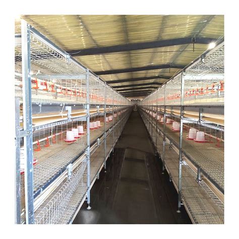 Design Modern Poultry Farm House Automatic Galvanized Battery Chicken