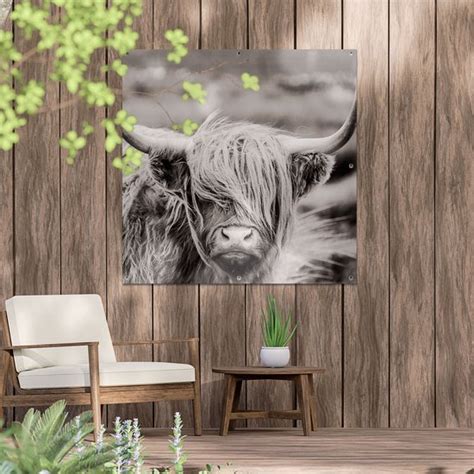 Gards Tuinposter Schotse Hooglander Koe Zwart Wit X Cm