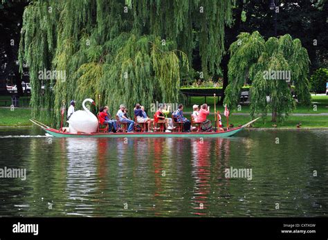 Swan Boat ride in Public Garden, Boston Commons park, Boston ...