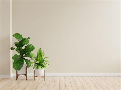 Two Potted Plants Sitting On Top Of A Wooden Floor Next To A White Wall