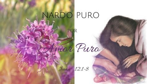 Que Significa El Perfume De Nardo En La Biblia 2024