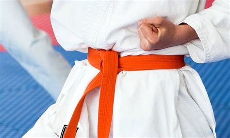 Kempo Karate Orange Belt | Small Online Class for Ages 5-10 | Outschool