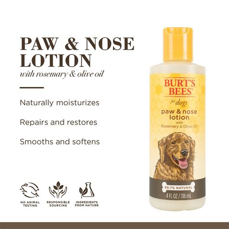 Vaseline For Sore Dog Paws at Patrick Lakes blog