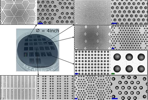 SEM Pictures Of Particle Assembly On Substrates With Different