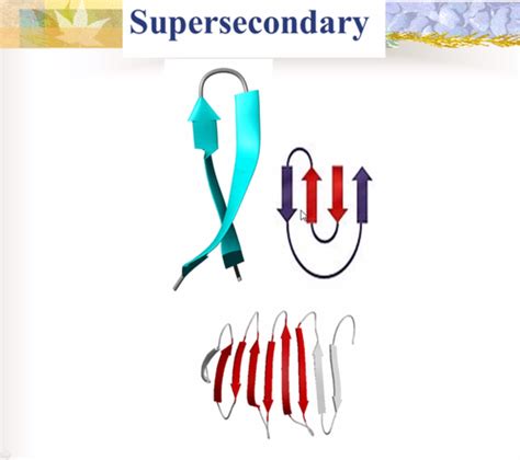 Proteins Structure And Function Flashcards Quizlet