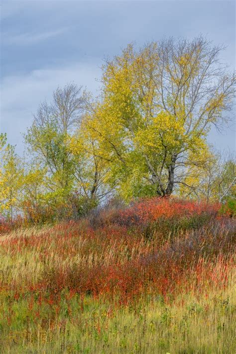 Paisajes Naturales Autumn Landscape Stai De Las Hojas Del Rojo Y Del